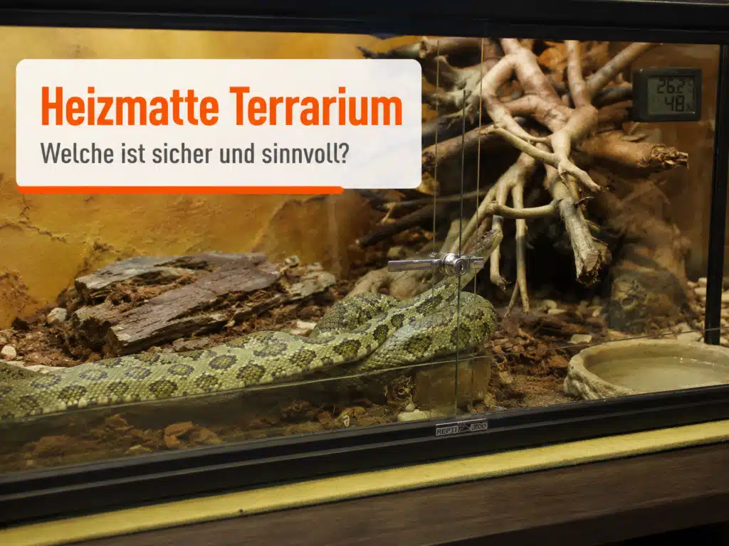 - Heizmatte Terrarium mit Schlange, Hygrometer und naturnah eingerichtetem Glasterrarium