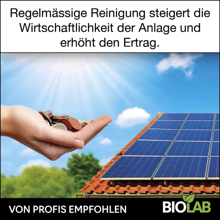 Saubere Solarmodule